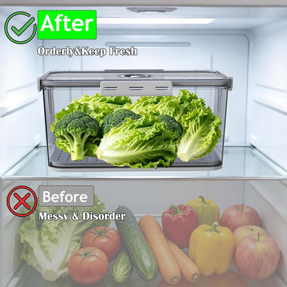 Clear Bread Box with Lid ,Time Recording Airtight Bread Container Grey